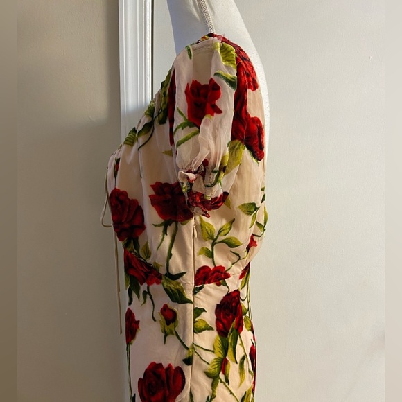 Rare London Rose Devore burnout velvet maxi dress coquette Sz 8 NWT - Picture 10 of 16